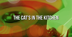 The Cat’s In The Kitchen